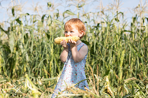 Bauer Schneiders Tochter beißt genüsslich in frischen Mais