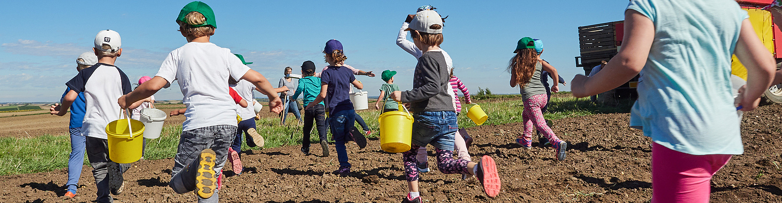 Kinder rennen mit Eimern über das Kartoffelfeld