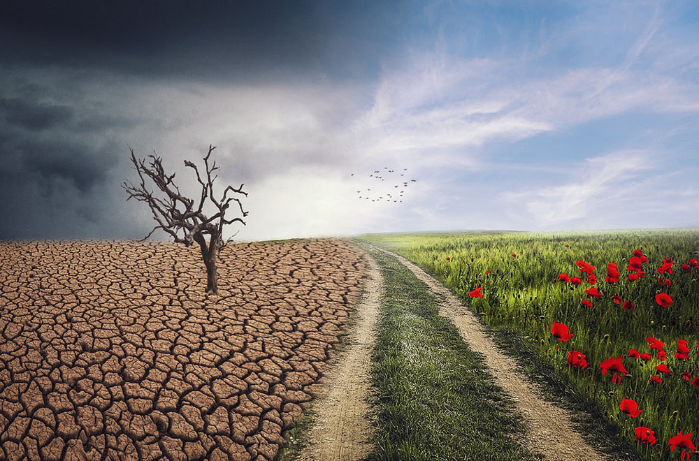 Klimawandel, trockenes Feld gegenübergestellt einer grünen Wiese